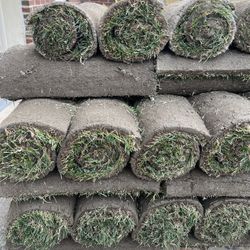 fresh sod natural grass 