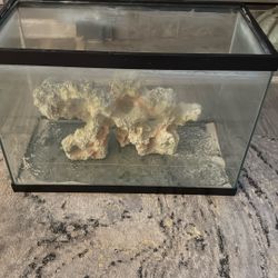 20 Gallon Fish Tank 