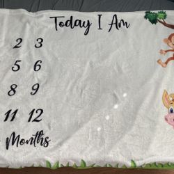 Baby Monthly Milestone Blanket