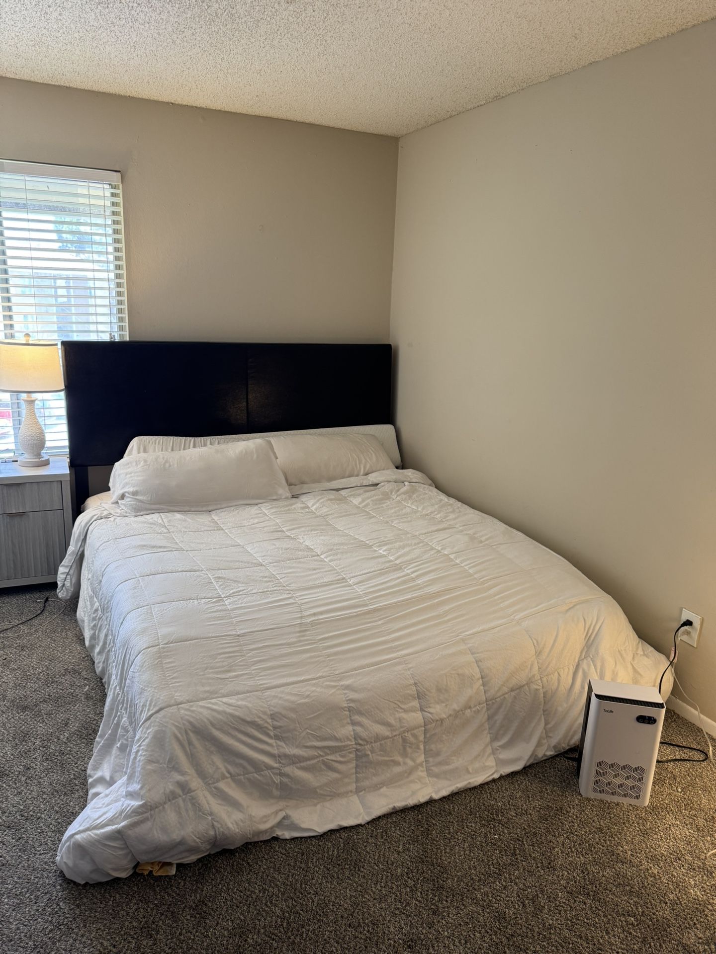 NEED GONE TODAY Cali King Bed with Leather Frame/Headboard