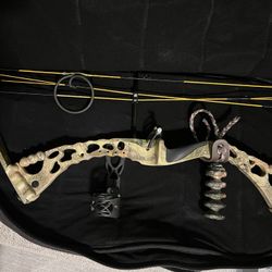 Bow Arrows Case