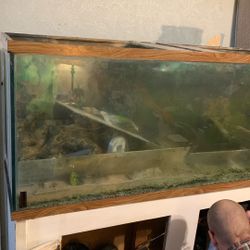 200 Gallon Fish Tank