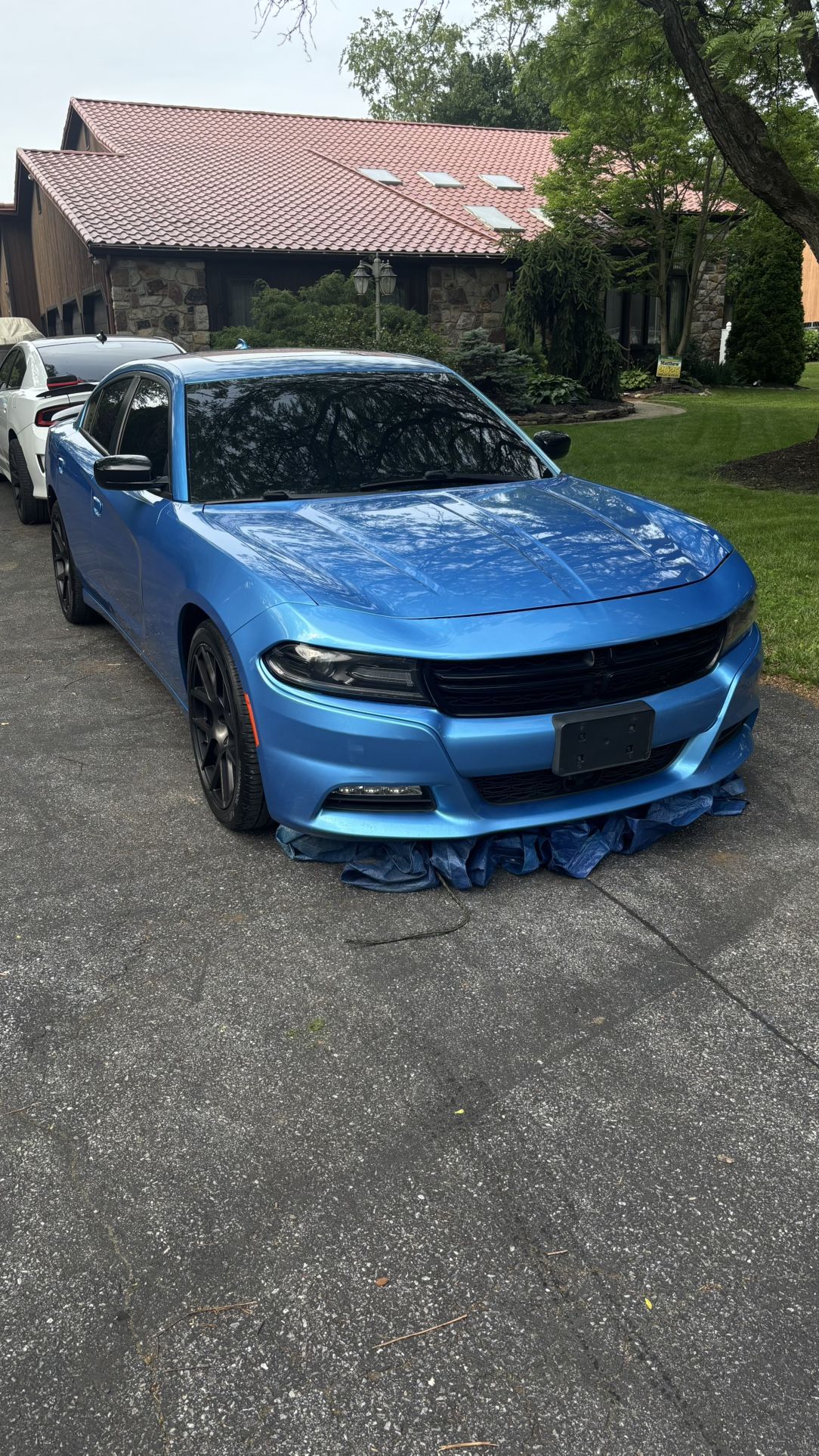 Dodge Charger (PARTS)