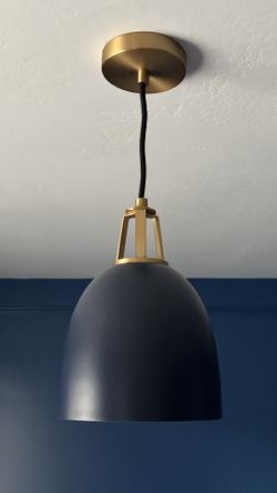 Navy Large Dome Light From Crate And Barrel