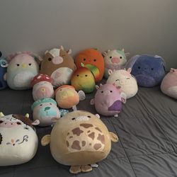 Squishmallows 8”-14”