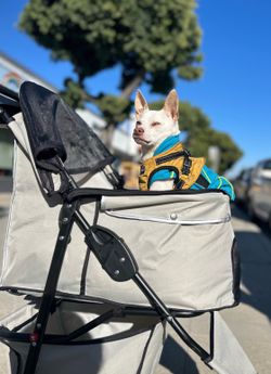 Pet stroller