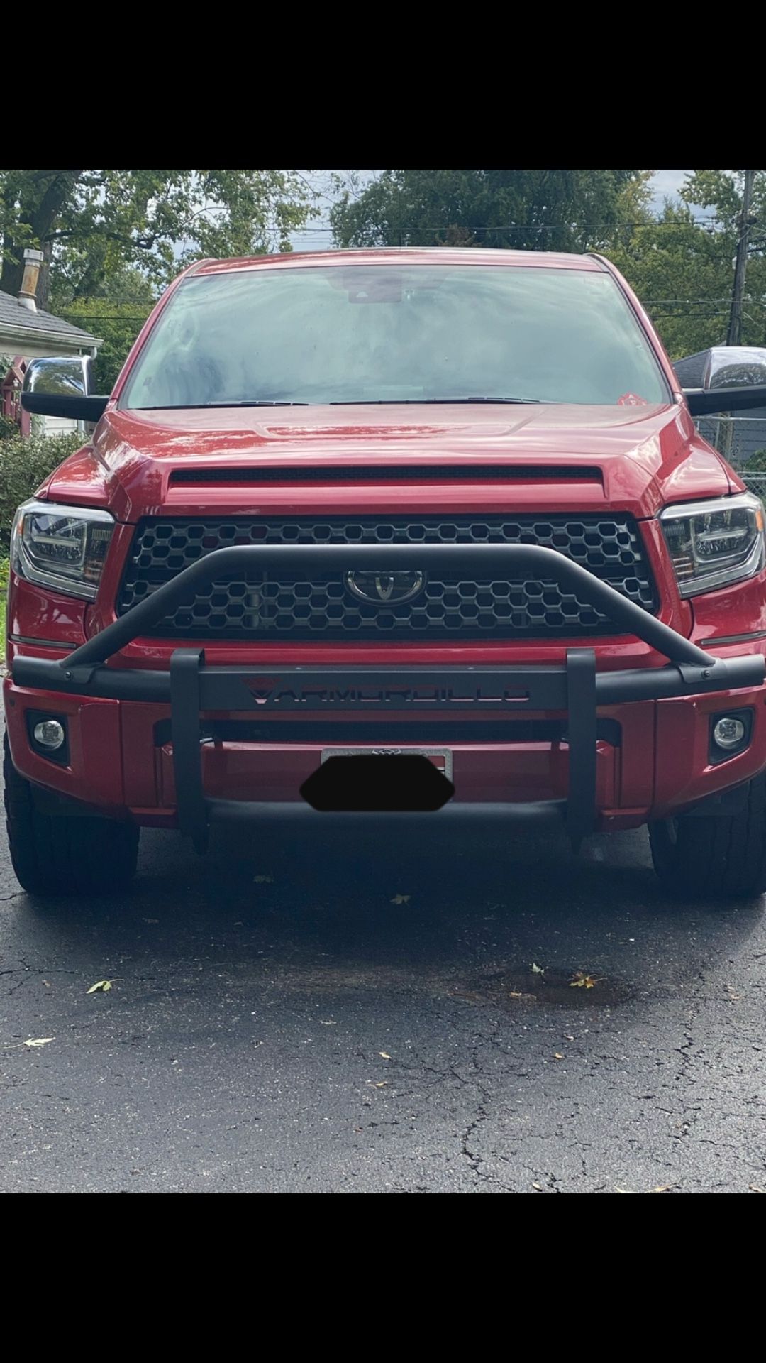 Toyota Tundra Armordillo Brush Guard