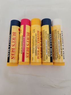 5 Burts Bees Lip Balm  bundle