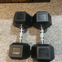 25 Pound Dumbbell Pair 