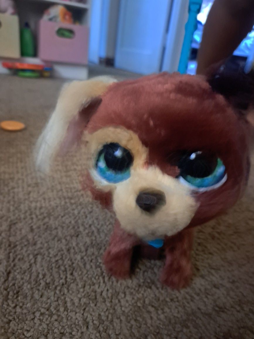 Fur Real Puppy!