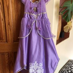 Sofia the First Halloween Costume (size 8)