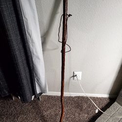 Walking Stick 