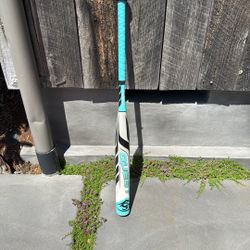 Quest Louisville Softball Bat 32”