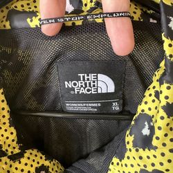 The North face Jacket 