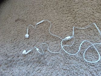 Apple earbuds