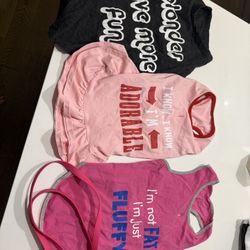 Dog Clothes And Leash 