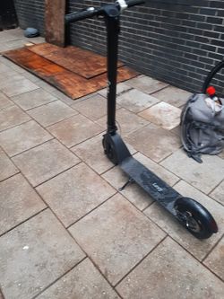 Levy Scooter