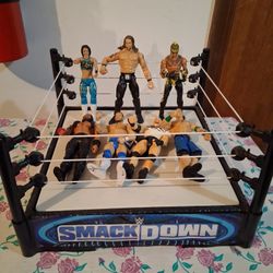 WWE SMACKDOWN RING WITH 7 FIGURES 