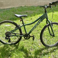 Giant XTC Jr Lite 24” bike. 