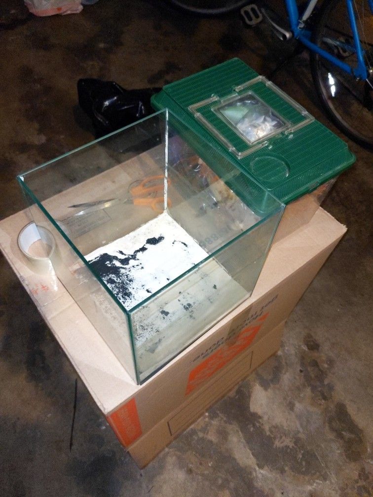 Cube Tank With Free Tank Of Plants