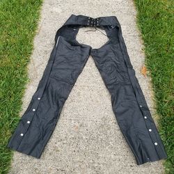 Beautiful silver bike chaps