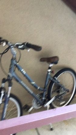 Bicycle