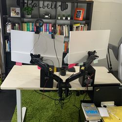 Flexispot Standing Desk