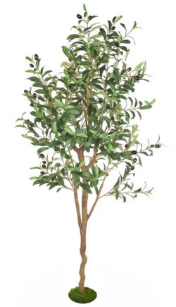 5 Ft Silk Olive Tree with Realistic Fruits And Leaves in White Weighted Planter.