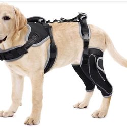 Lispoo Dog Knee Support for ACL Tear Rehabilitation and Dislocated Patella -Adjustable Leg Support and Sufficient Breathability,Injury Recovery and Ba