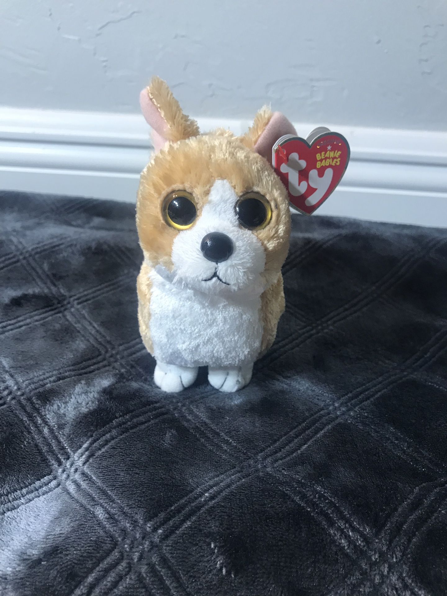 Corgi ty beanie baby hot sale