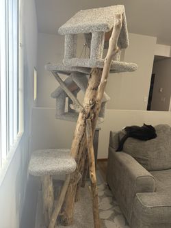Shelf Cat Tree