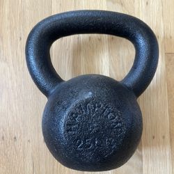 25 Pound Kettlebell 