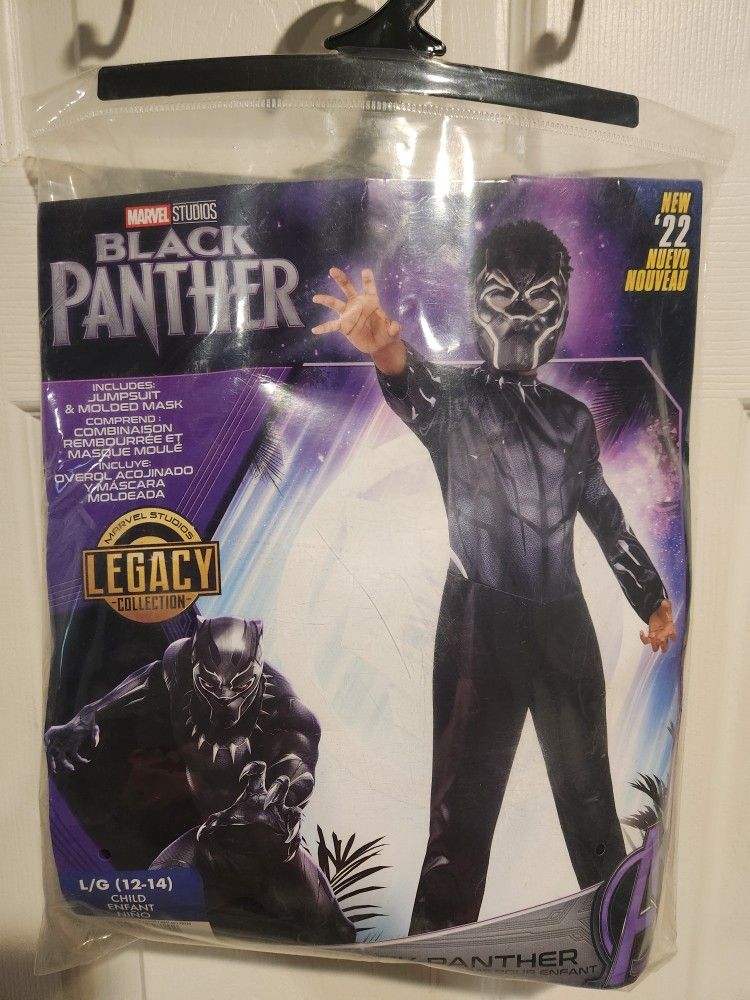 Black Panther Costume