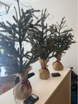 3 Mini light up Xmas trees