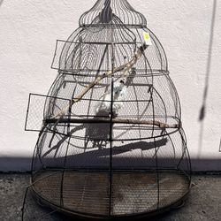 Large Metal Wire Bird Cage W/ Natural Wood Perch