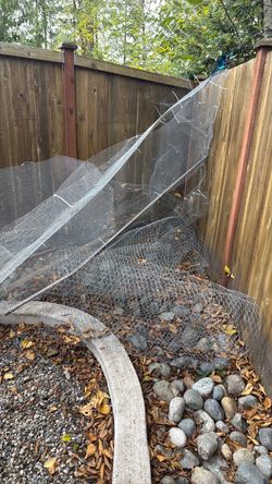 Free chicken wire