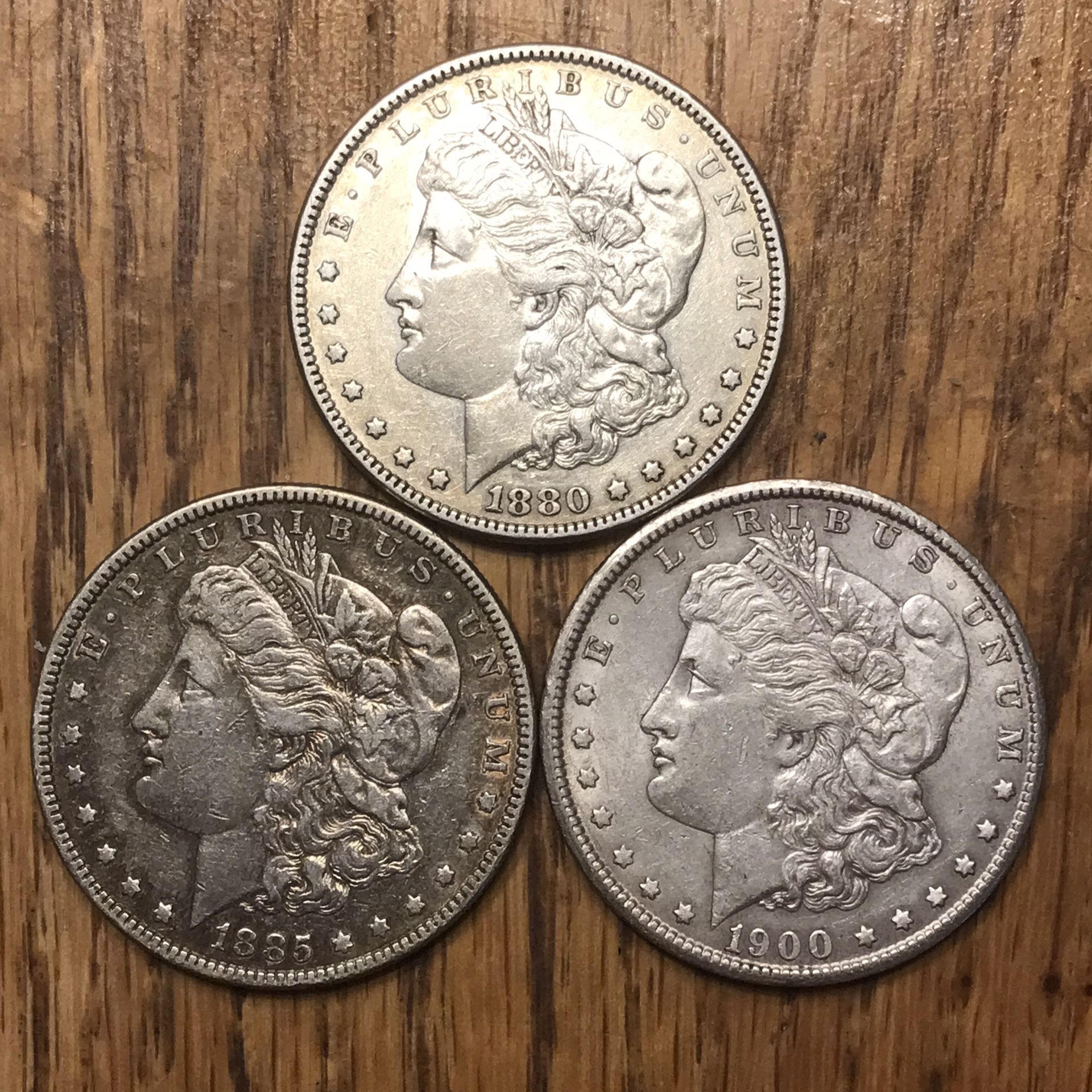 Morgan Silver Dollars