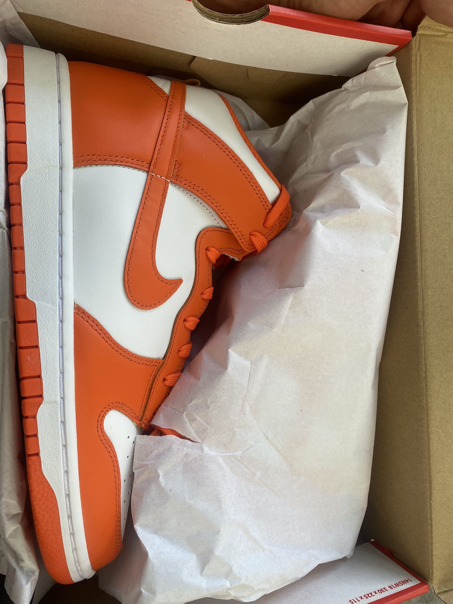 Nike Dunks Syracuse 