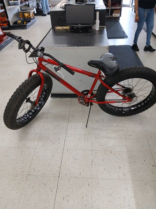 Mongoose Large Tire Bike