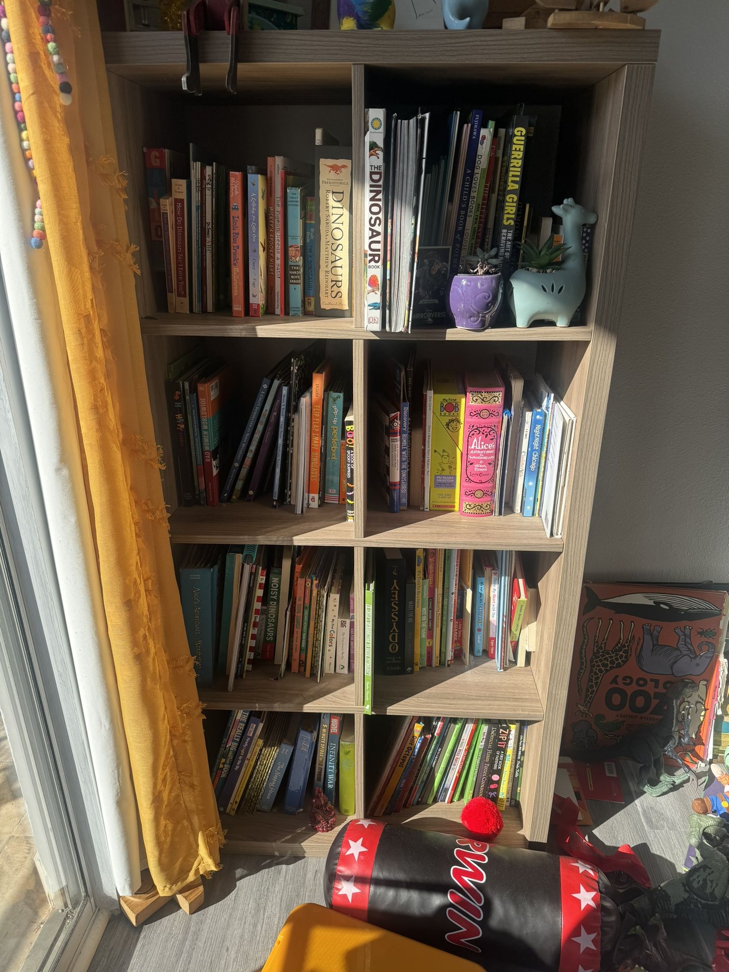 Bookshelves 