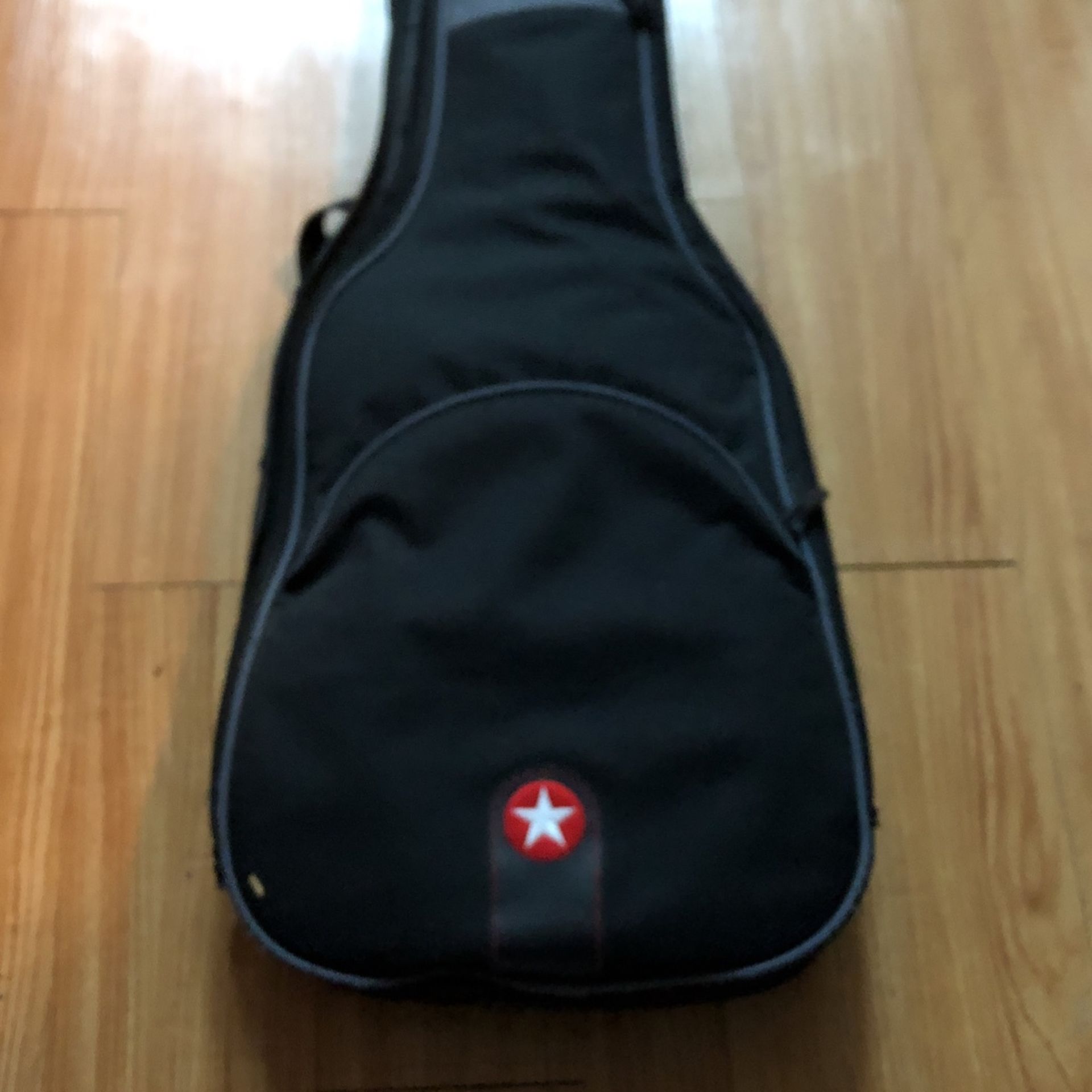 Road Runner Guitar Bag