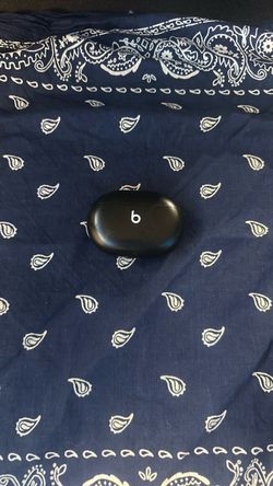 Beats ear buds (case only)