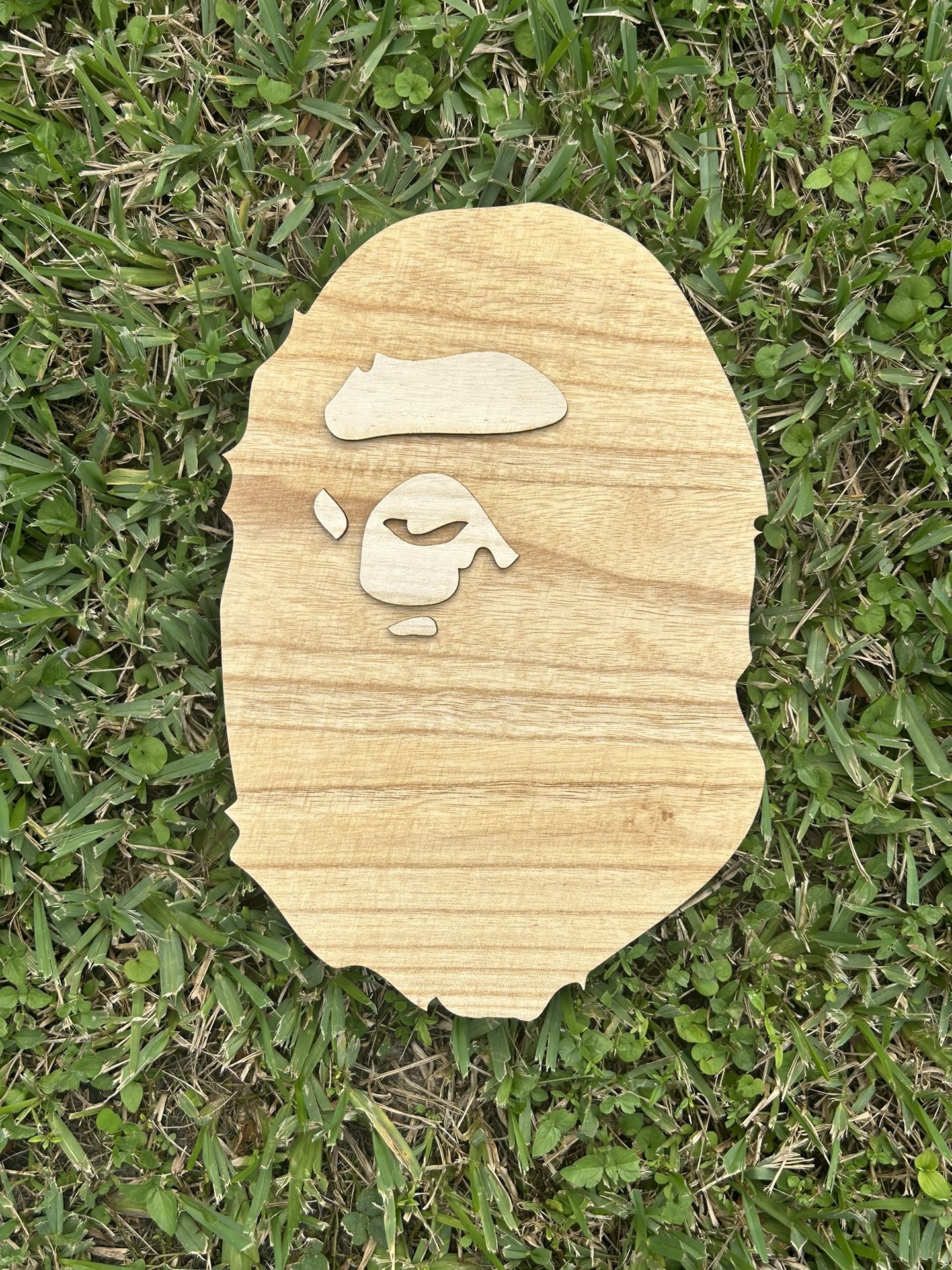 Bape Wall Art