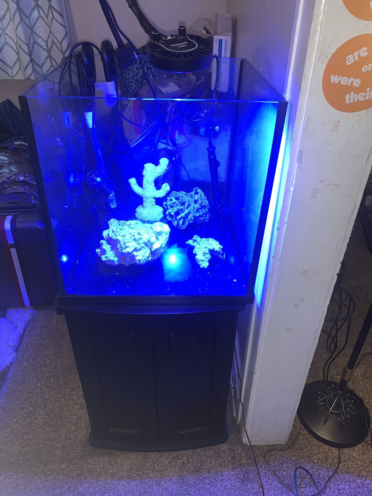Aquarium 