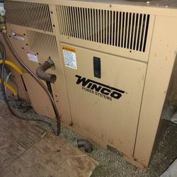10000 Watt Propane/Natural Gas Generator 