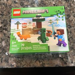 Minecraft Lego Set 