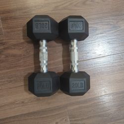 Set of 20 Lbs Dumbbells 