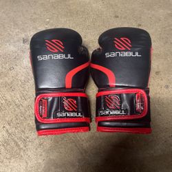 Sanabul Boxing Gloves