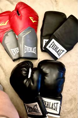 Everlast Boxing Gloves-3 different styles/sizes