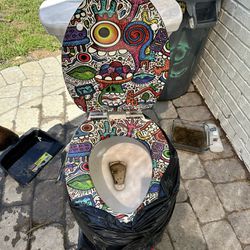 Graffiti Toilet-used 